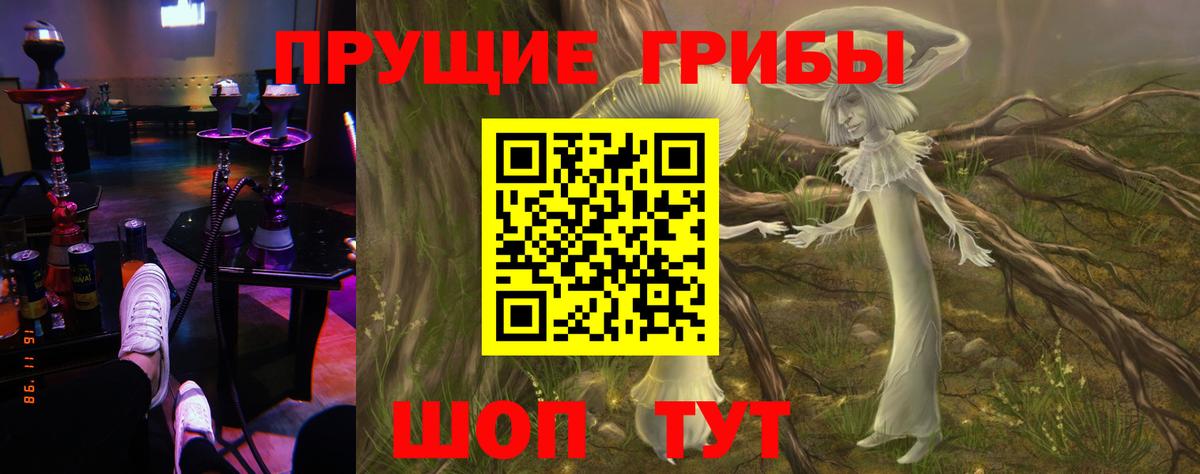 Псилоцибиновые грибы Cubensis  Псилоцибиновые грибы ЛСД  Клинцы  Вход с VPN 