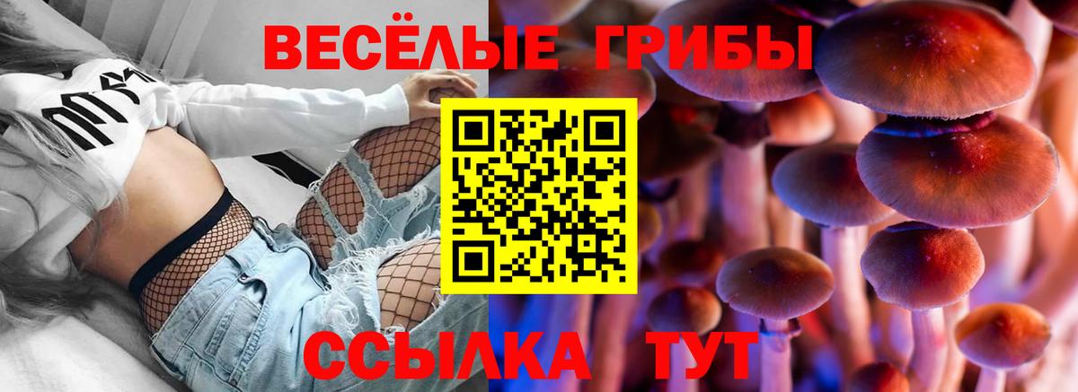 Псилоцибиновые грибы Magic Shrooms Клинцы